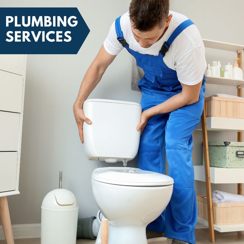 Plumbing Company in Chloride, AZ
